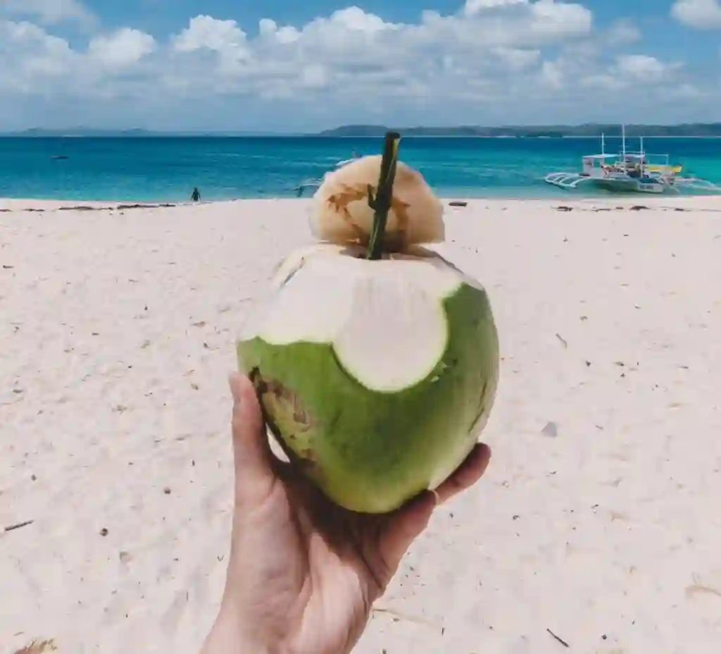 Air kelapa pada artikel rekomendasi minuman sehat di dunia