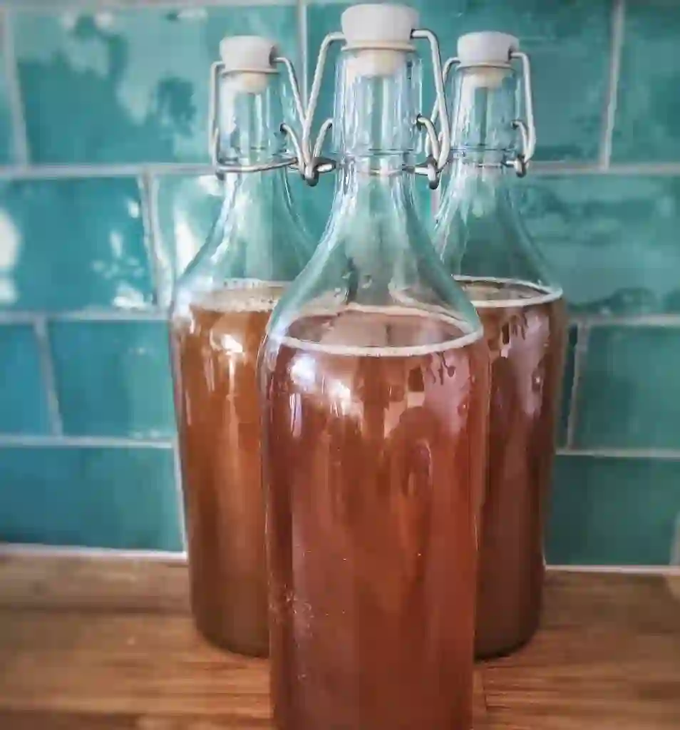 Kombucha pada artikel 6 rekomendasi minuman sehat di dunia