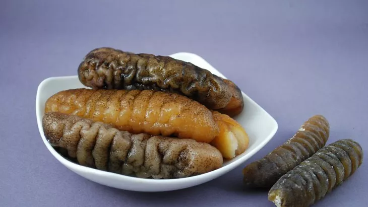 Gambar teripang pada artikel 7 makanan teraneh di dunia