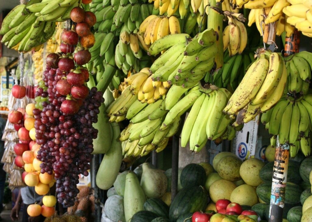 Gambar buah-buahan 5 makanan sehat yang dibutuhkan oleh tubuh