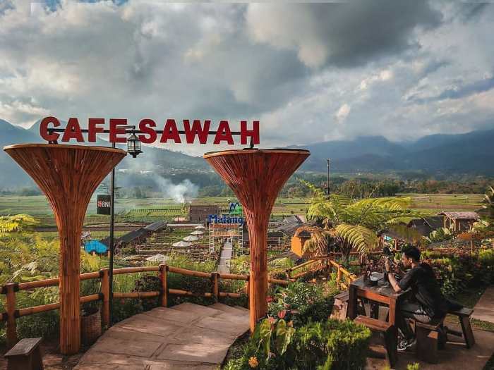 Malang pujon kidul desa sawah batu pemandangan yang kafe beserta destinasi menakjubkan menyajikan hamparan hipwee masuk namanya