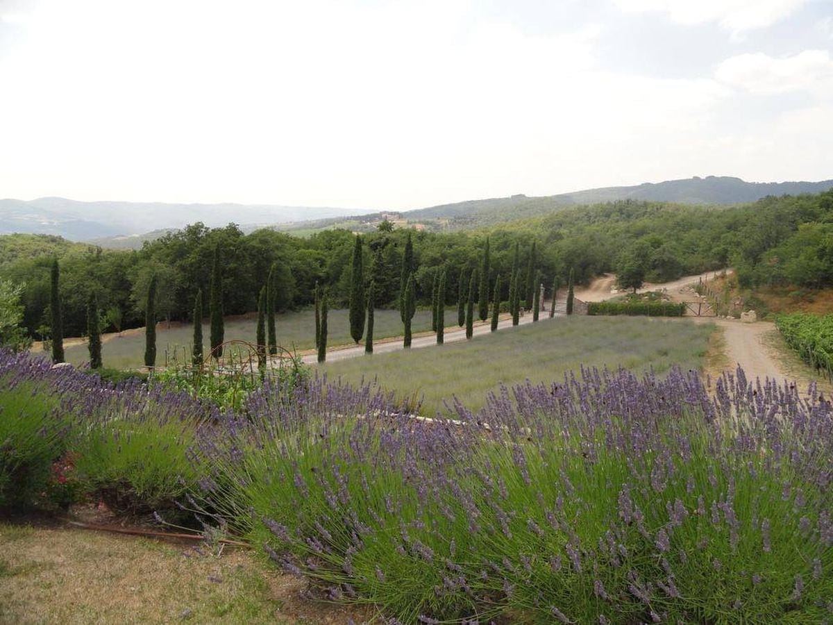 Kampoeng kuliner pettarani