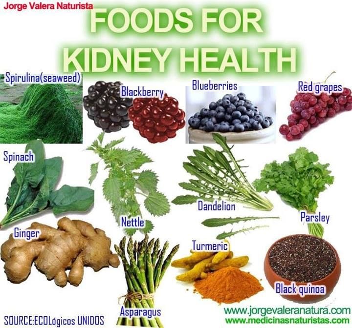 Kidney Kidneys Health Problems Emedihealth Intake Hypertension Makanan untuk ginjal