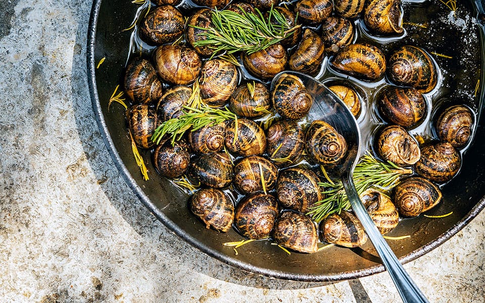 Snails cook