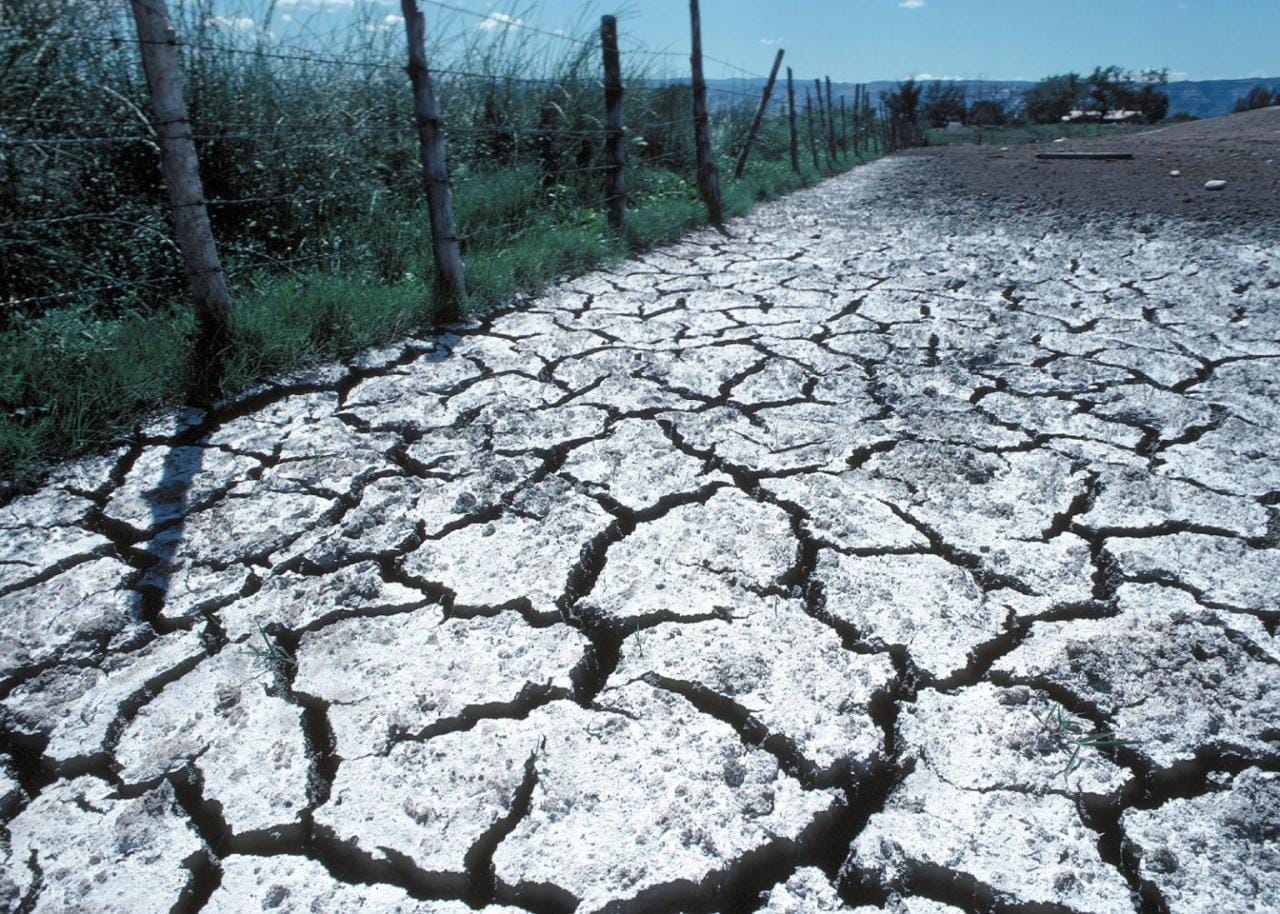 Cara membasmi gurem yang sudah menyebar di peternakan