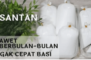 Masakan santan tahan berapa lama