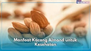 Manfaat kacang almond untuk kesehatan