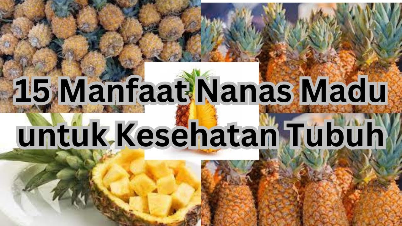 15 manfaat nanas madu untuk kesehatan tubuh - youtube